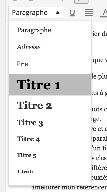 balises H1 titre1