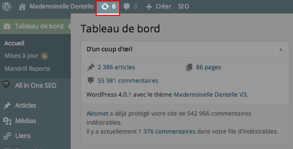 mise a jour wordpress plugin